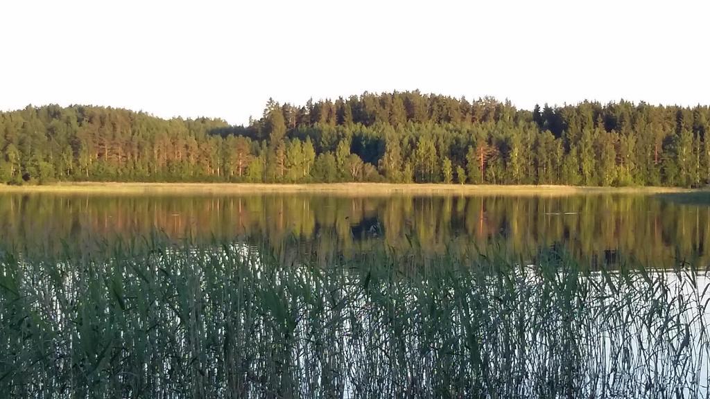 Lakehouse Saimaa B&B Taipalsaari エクステリア 写真